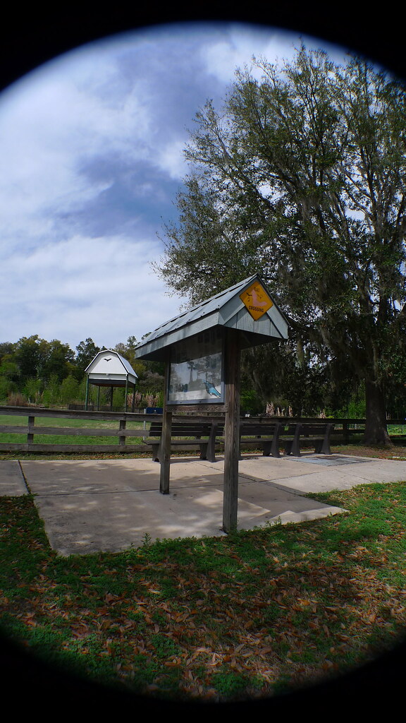 Bat houses Lake Alice Gainesville FL Coleen DeGroff Flickr