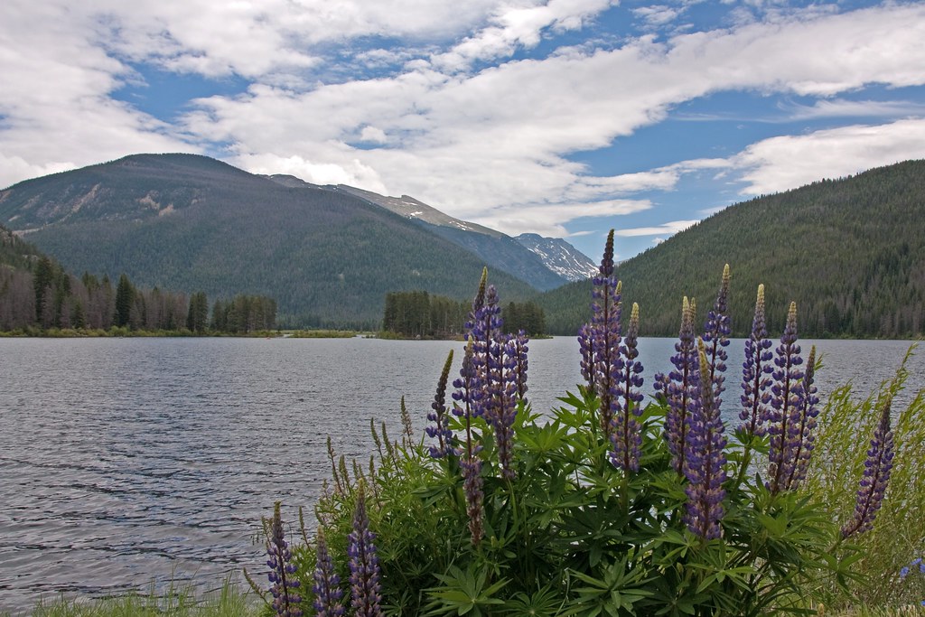 Monarch Lake, Colorado Monarch Lake, Indian Peaks Wilderne… Flickr