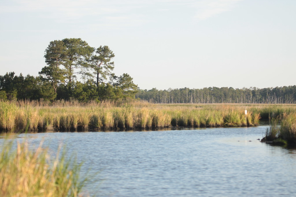 Elliott Island, MD Matt Tillett Flickr