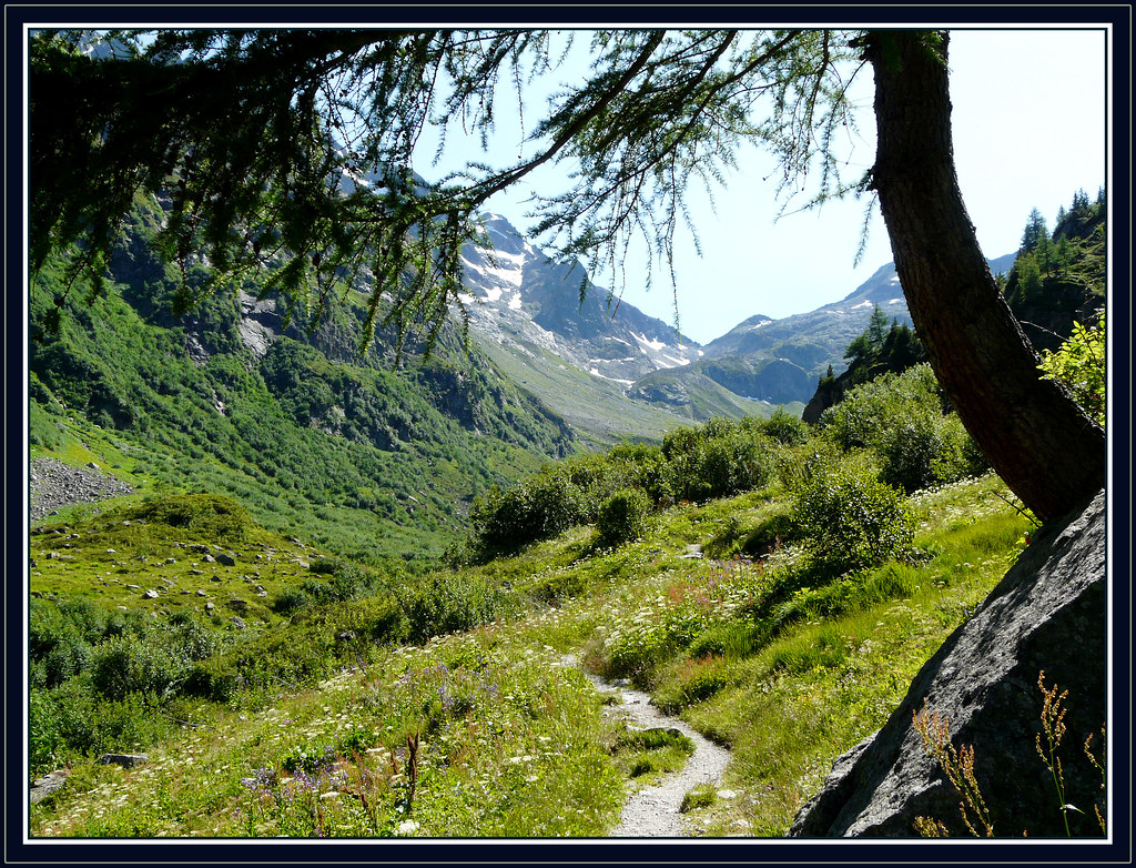 Sentier de montagne Sur le chemin du refuge de la Pierreà… Liliane