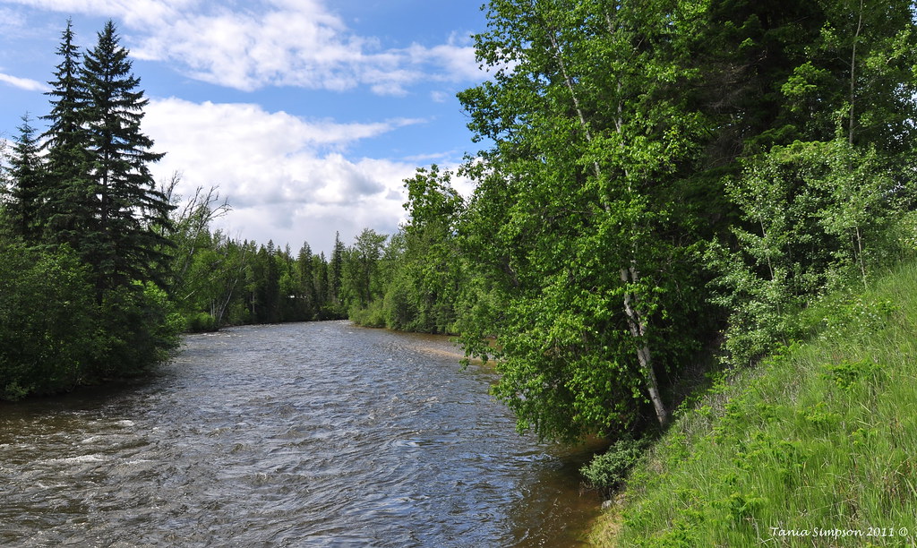 Elevation of Vavenby, BC V0E, Canada Topographic Map Altitude Map