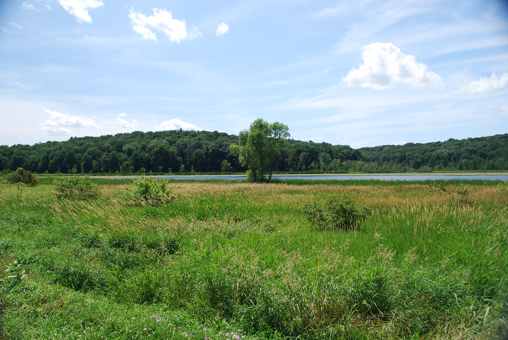 Marshy Land Goose Lake Drumlins Wisconsin State Natural Ar… Flickr