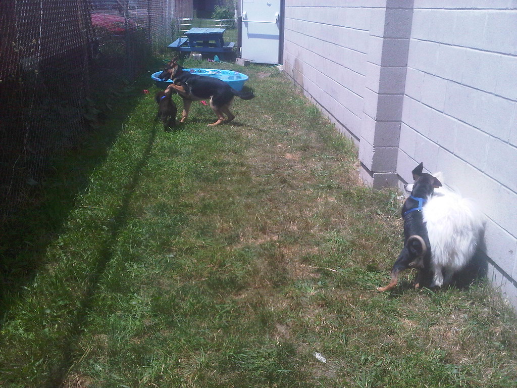 Guelph_Eramosa2011061800457 suenestnature Flickr