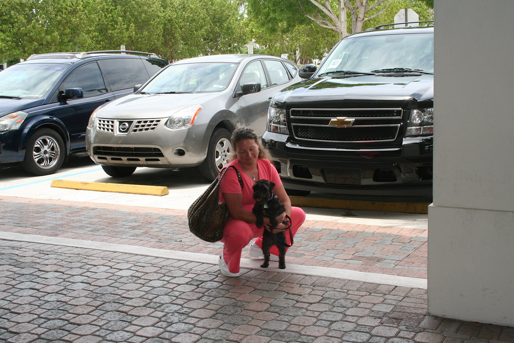 Ed Morse Sawgrass Auto Mall American Humane Society 036 Flickr