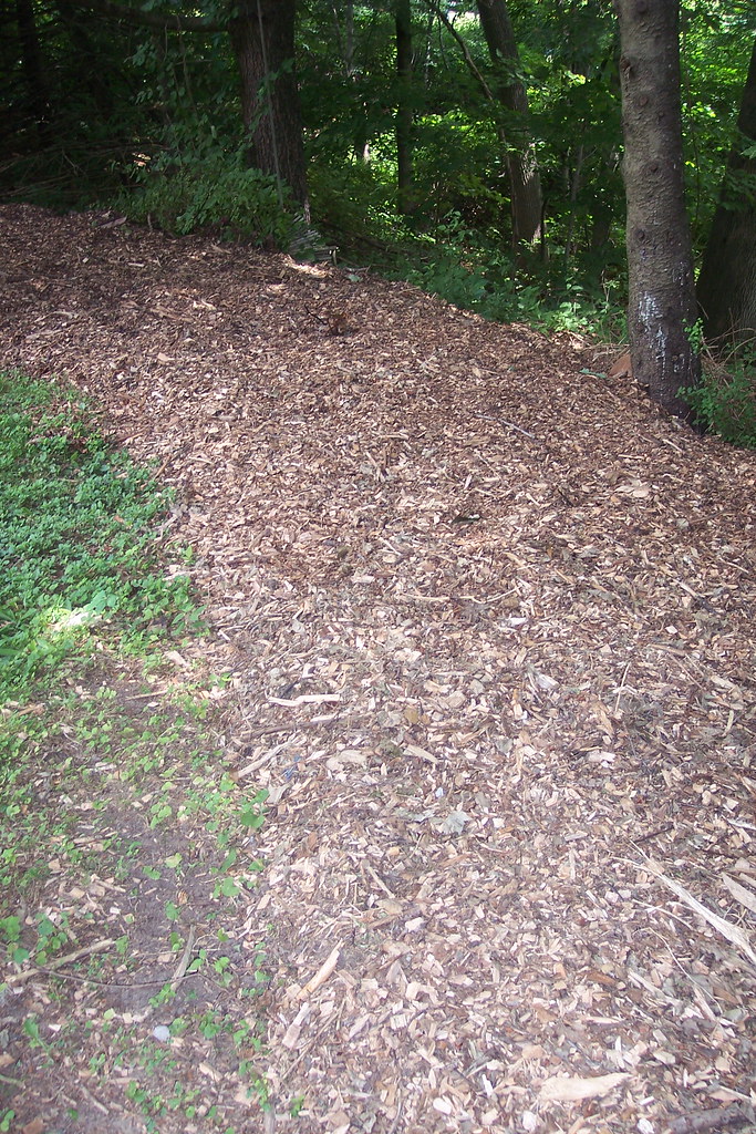 Tick prevention border A thick swath of wood chips can hel… Flickr