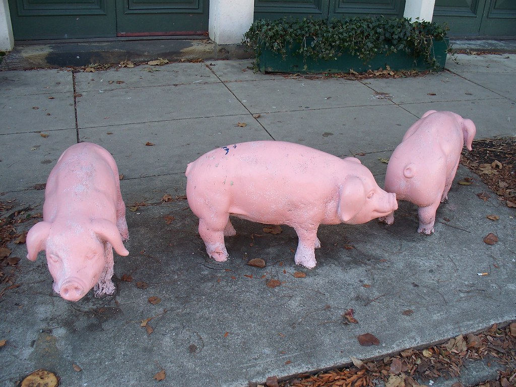 OH Cincinnati Pigs A trio of pigs in downtown Cincinnati… Ken