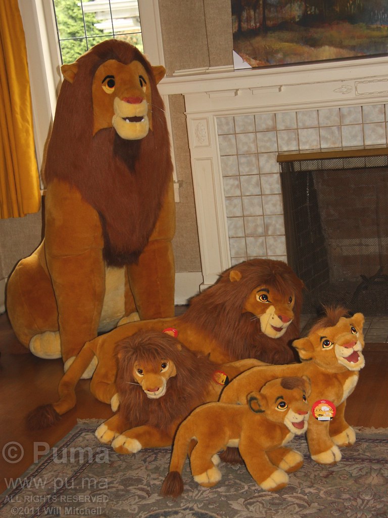 Simba from the Lion King growing up through plush This is … Flickr