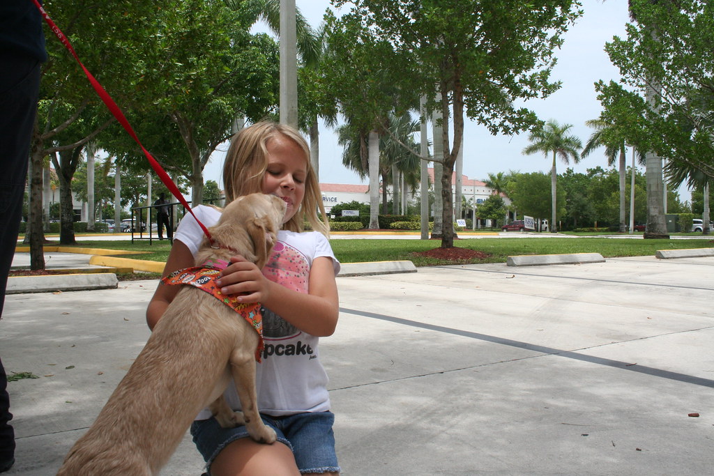 Ed Morse Sawgrass Auto Mall American Humane Society 005 Flickr