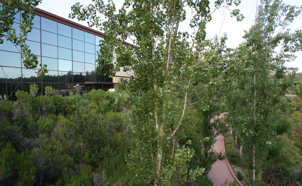 Saddleback Church, Lake Forest Unplanned field trip to the… Flickr