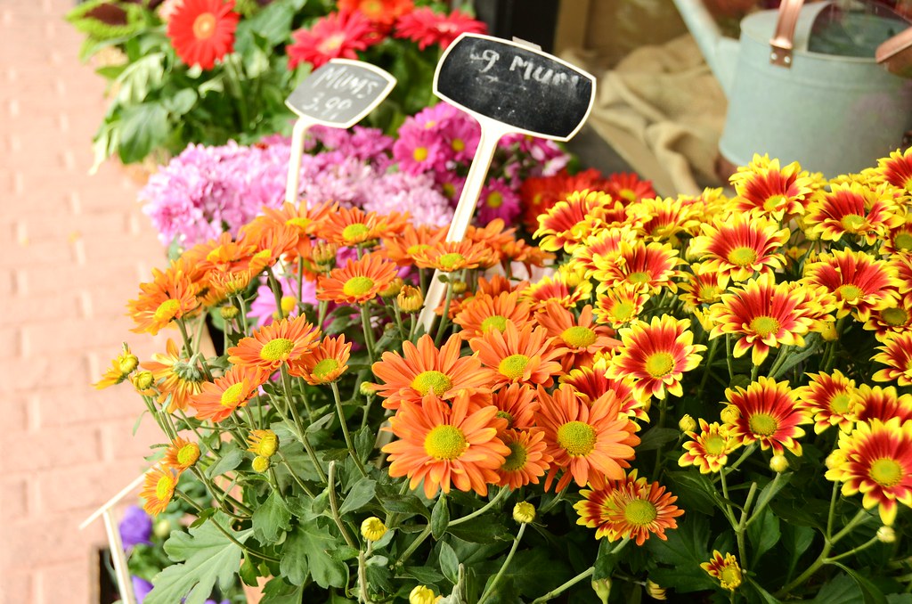 Fort Langley Flowers justjinx Flickr