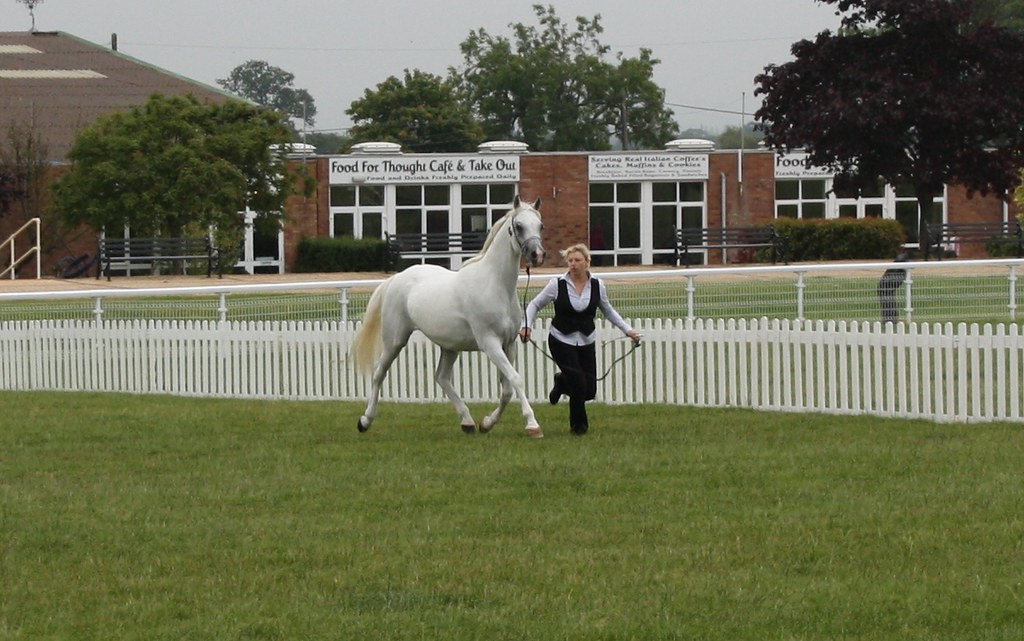 IMG_3035 gina.hayes1 Flickr