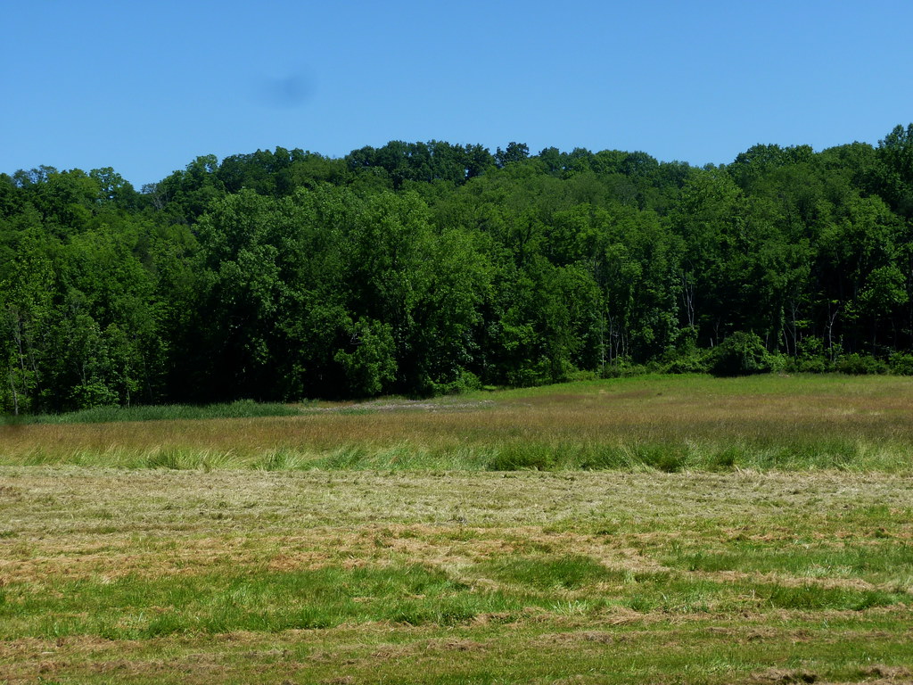 Brecksville Reservation Cuyahoga National Park Brecksville… Flickr