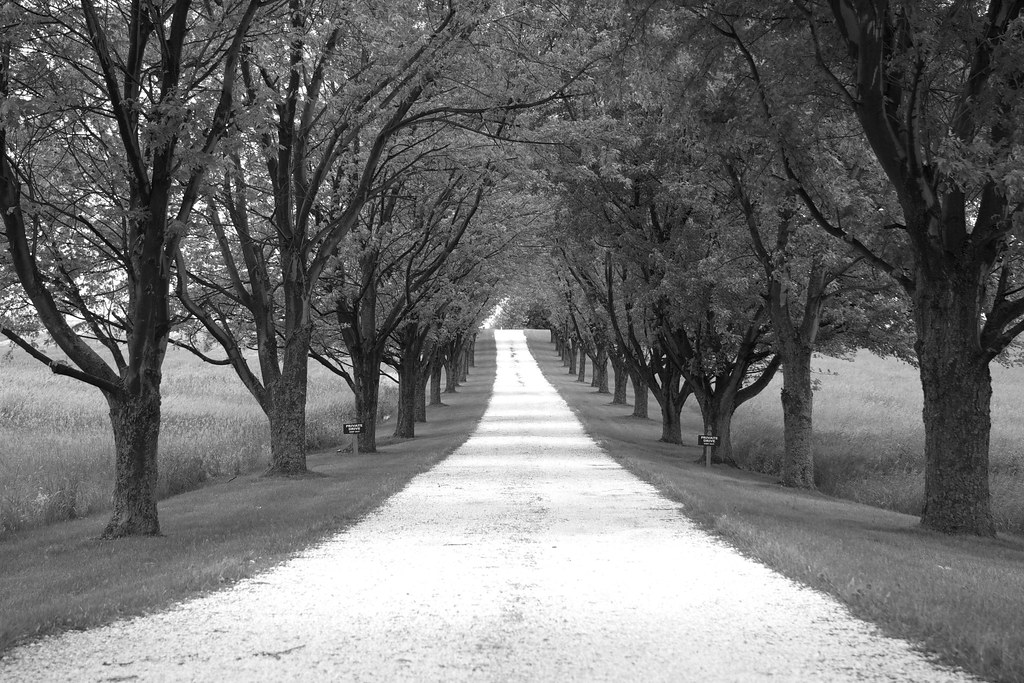 Private Road in Vermont emilymason509 Flickr