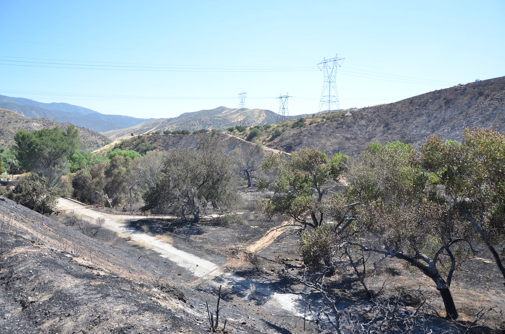 BLACKEND HILLSIDE OFF AGUA DULCE CANYON ROAD Navymailman Flickr