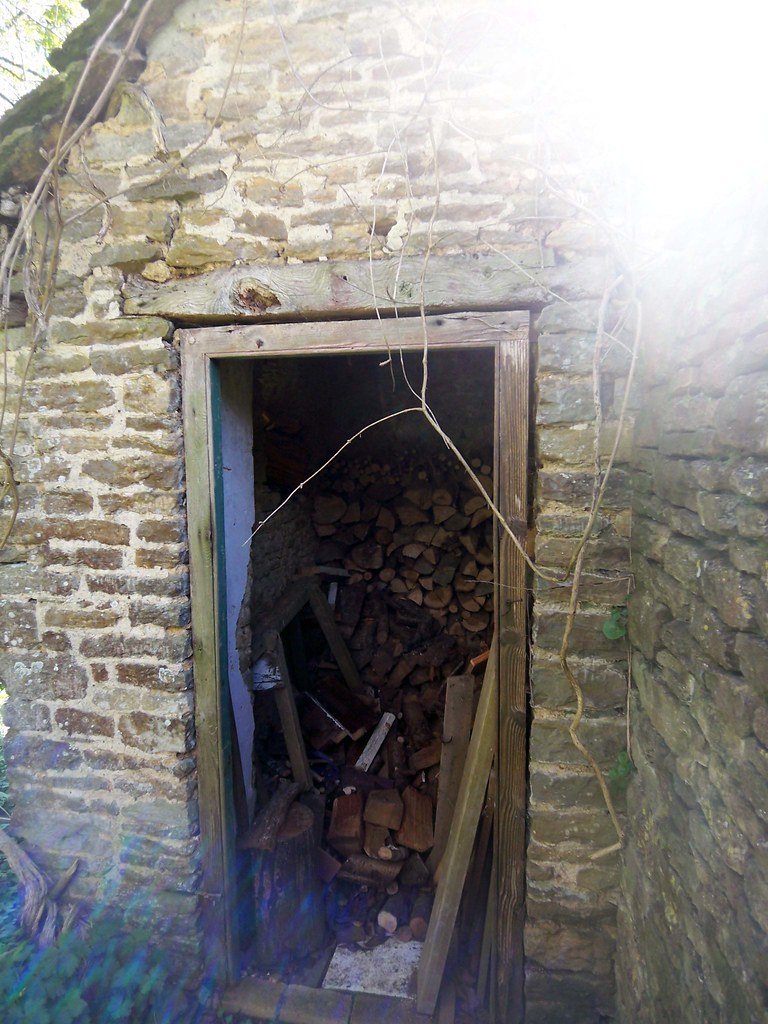 Stalbridge Gold st1 Mark Watson3 Flickr