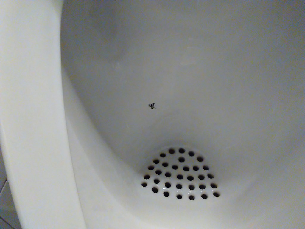 Urinal Fly at Amsterdam Airport I G Flickr