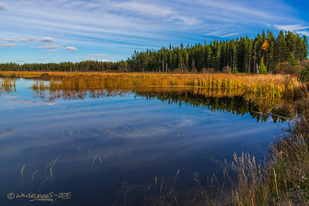 AUTUMN CALM COLORS Beside HWY 1 near Gander, Newfoundland … Flickr