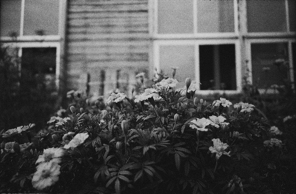 三省ハウス (Sansho), 2012 what does that glance mean? Flickr