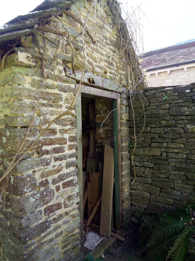 Stalbridge Gold st2 Mark Watson3 Flickr