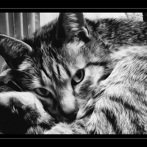 b&w painting **** View On Black & Large **** you can see t… Flickr