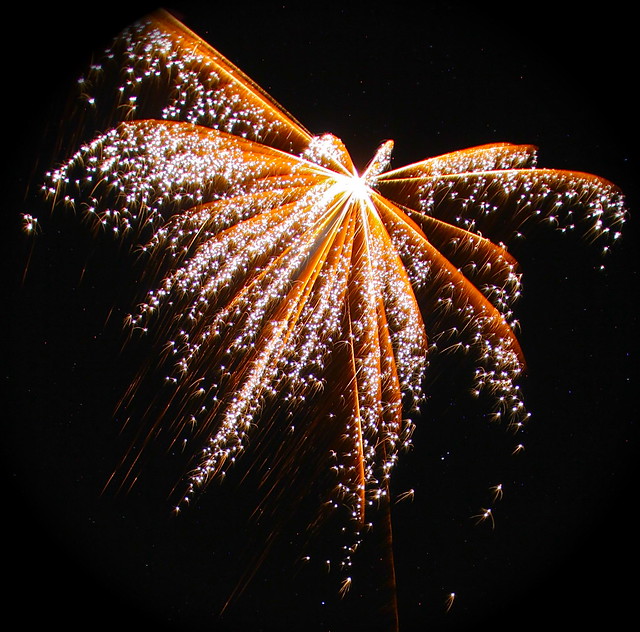 Fire Palm a photo on Flickriver