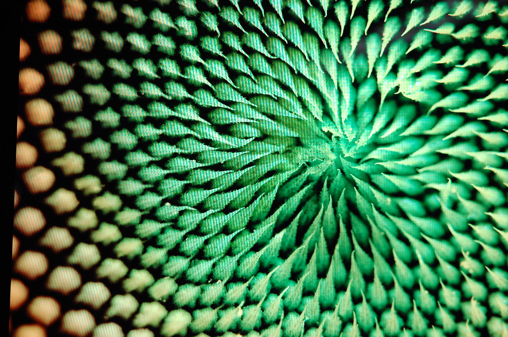 034 Javelin Marketing Group Flickr