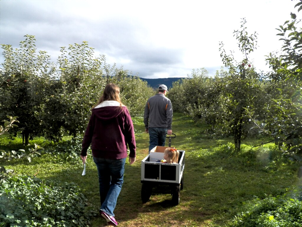 102311 Charlie at the apple orchard Deborah Schlegel Flickr