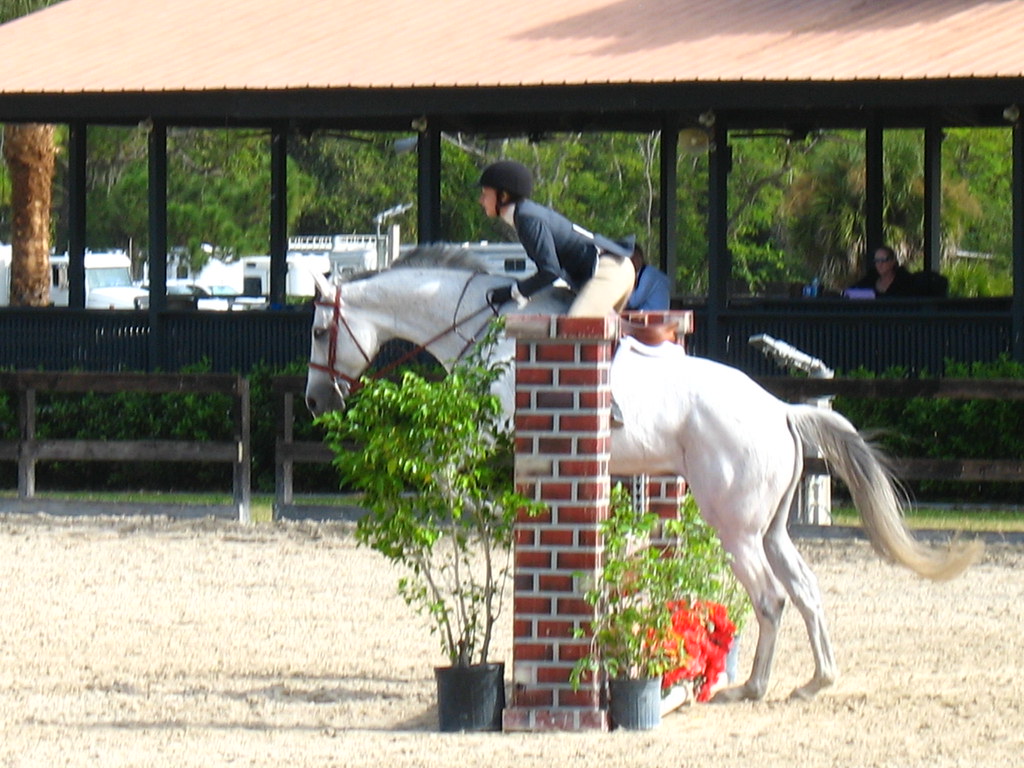 Fox Lea Farm Horse Show, Venice, Florida 11.6.2011 Flickr