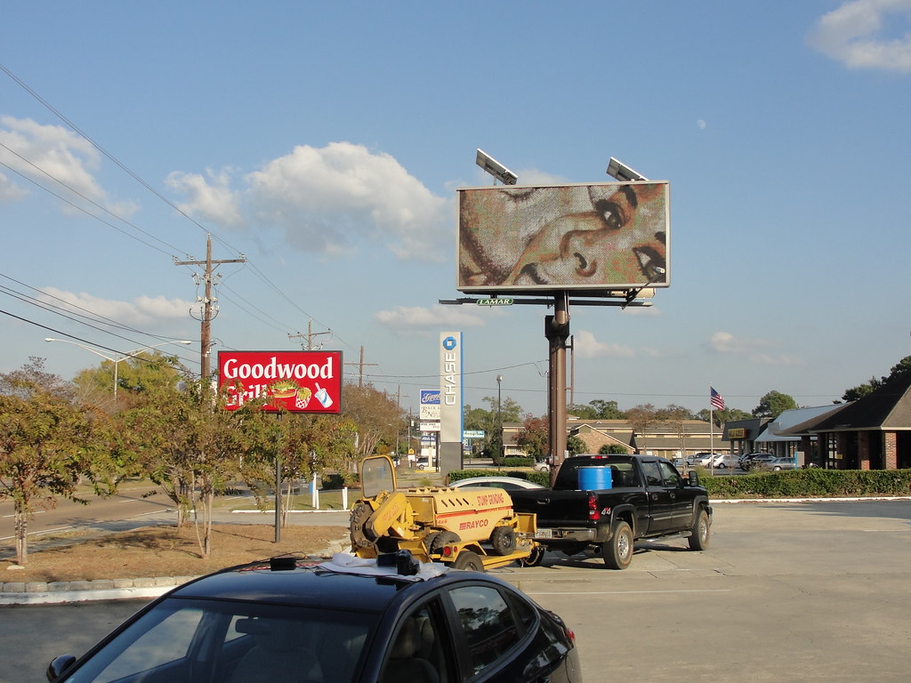 Baton Rouge Billboard Art Project D. LammieHanson (11) Flickr