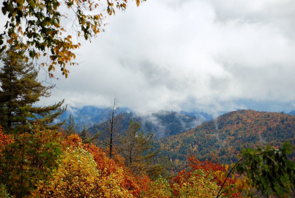 DSC_0755 Highway 246 between Highlands, NC and Dillard, GA… Betty