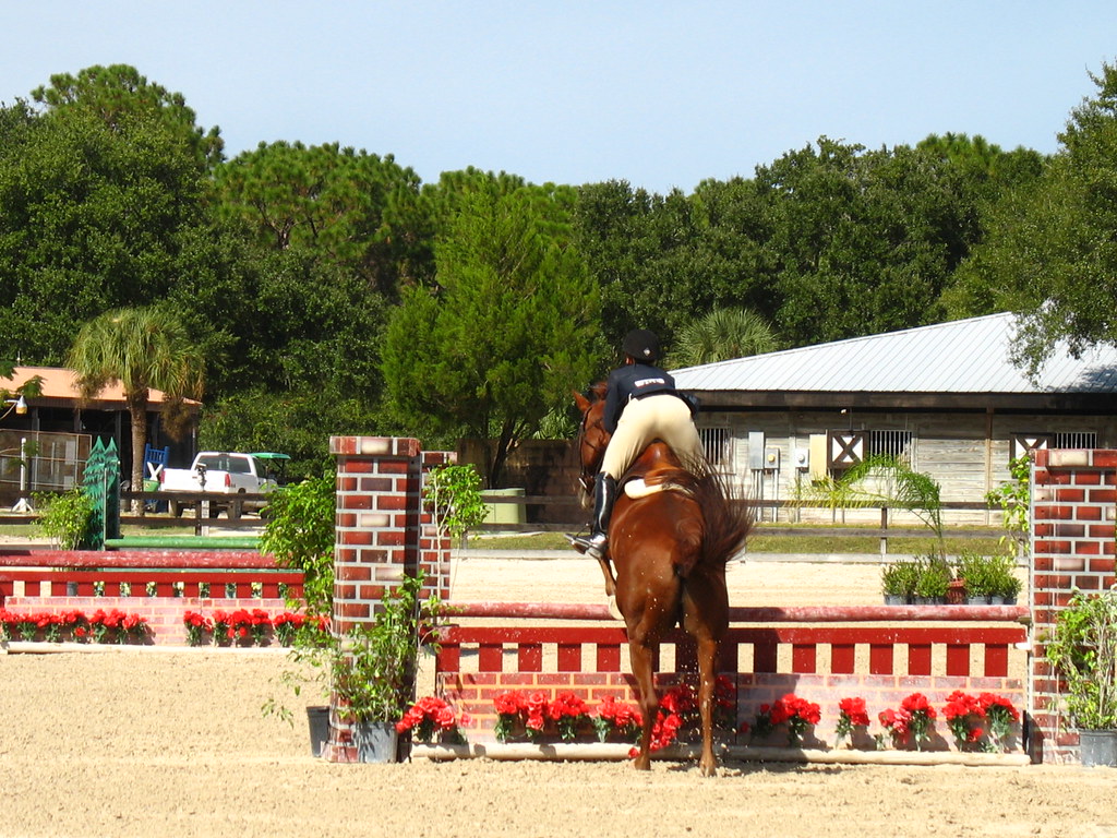 Fox Lea Farm Horse Show, Venice, Florida 11.6.2011 Flickr
