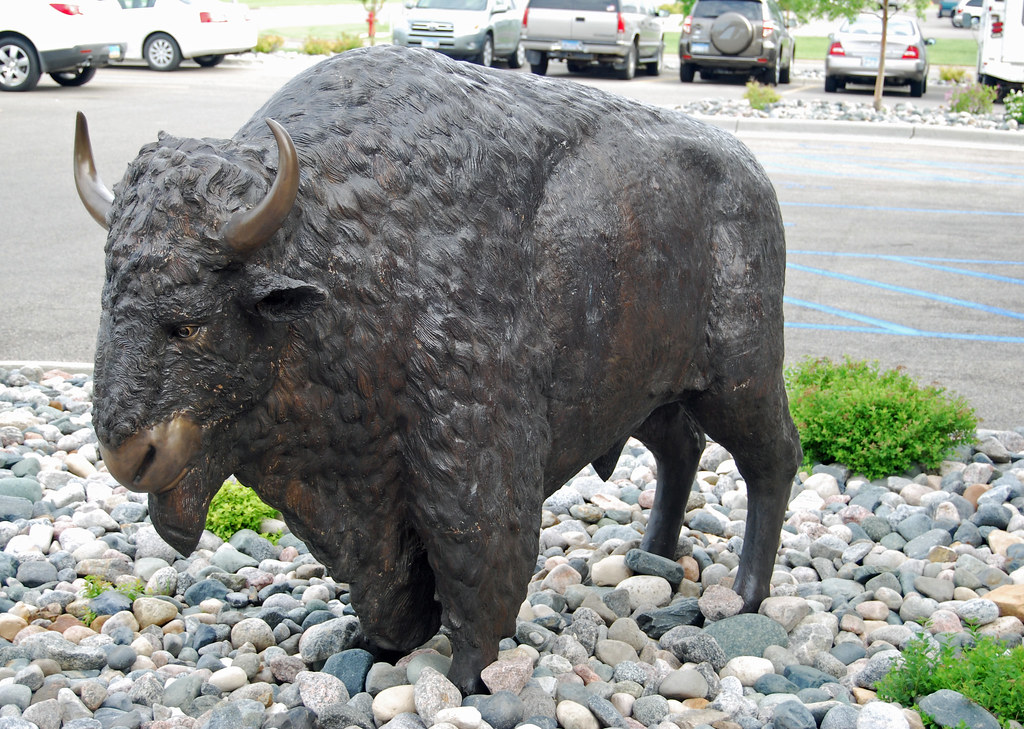 Buffalo Statue jrtmurph Flickr