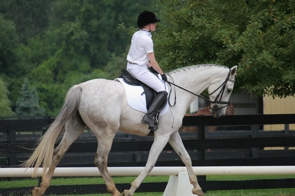 ENTRY 105, Silverwood Farm ENTRY 105, Silverwood Farm, Cam… Flickr