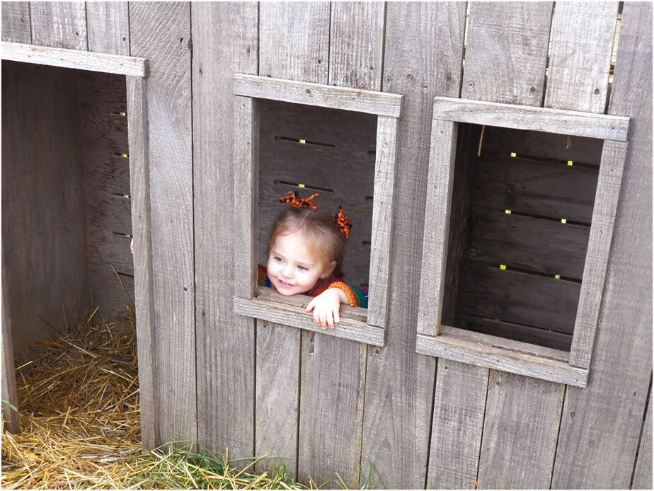 102311 Charlie at the apple orchard Deborah Schlegel Flickr