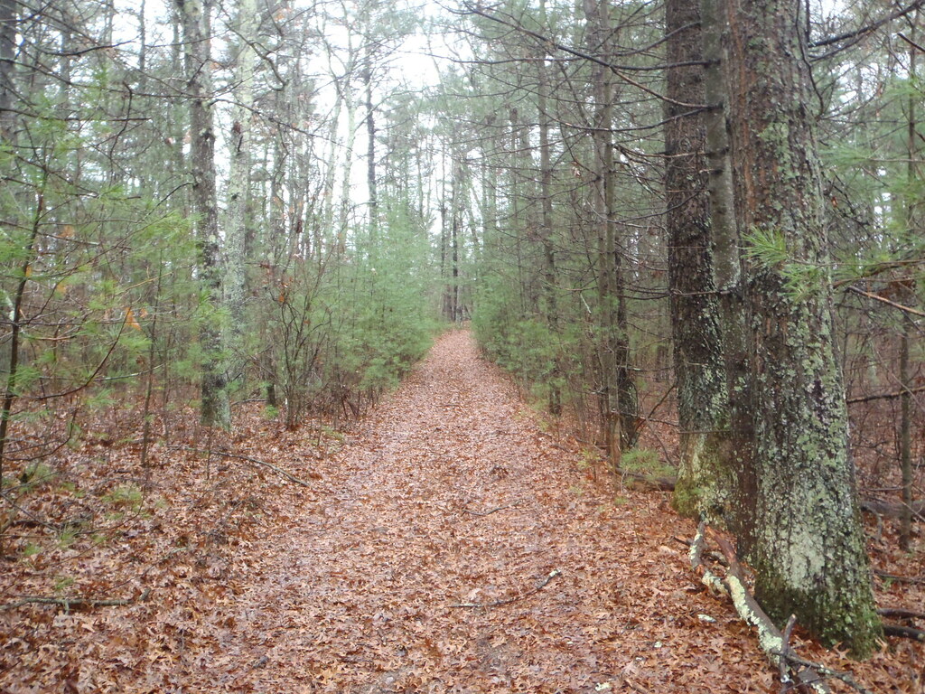 Center Trail, Burrillville, Rhode Island This ended at an … Flickr