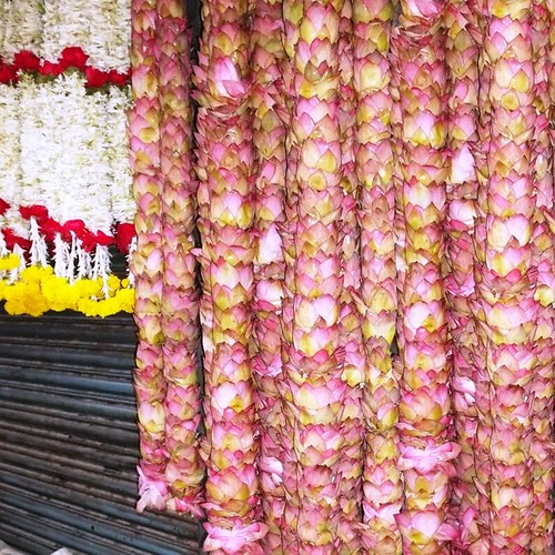 Lotus garland Rajendra Mundkur Flickr
