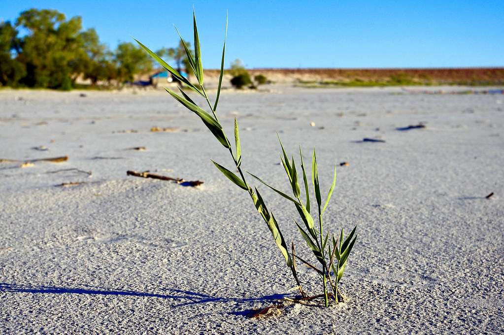 Sandy Cove, Canton Lake, Oklahoma, September 5, 2011 Flickr