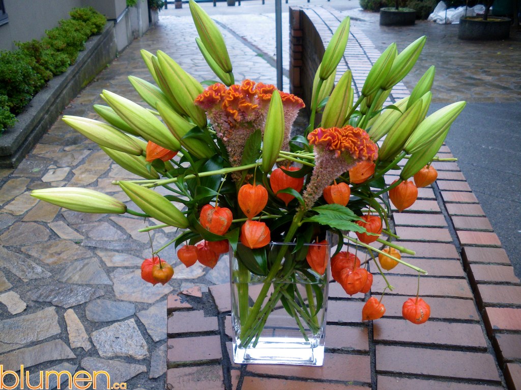 Medium Arrangements5 Celebrate Women's Day with Blumen Flo… blumen