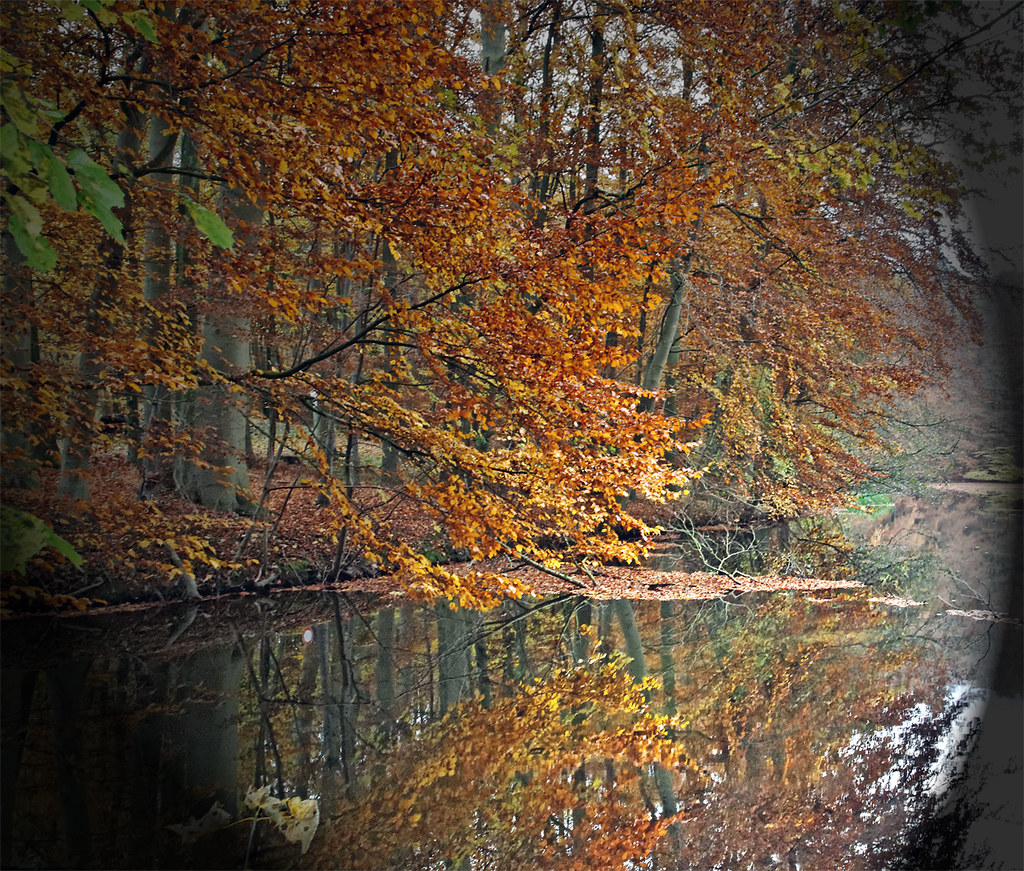 Herbst in SchleswigHolstein Autumn in SH Uwe Flickr