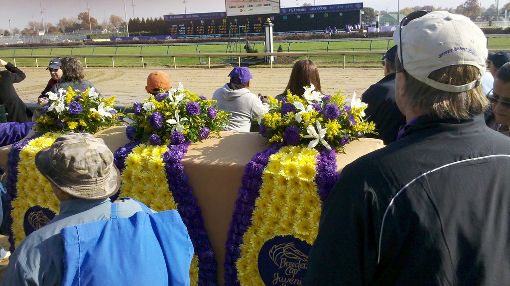 BC 2011 Sights The winners' blankets on their way to the w… Flickr