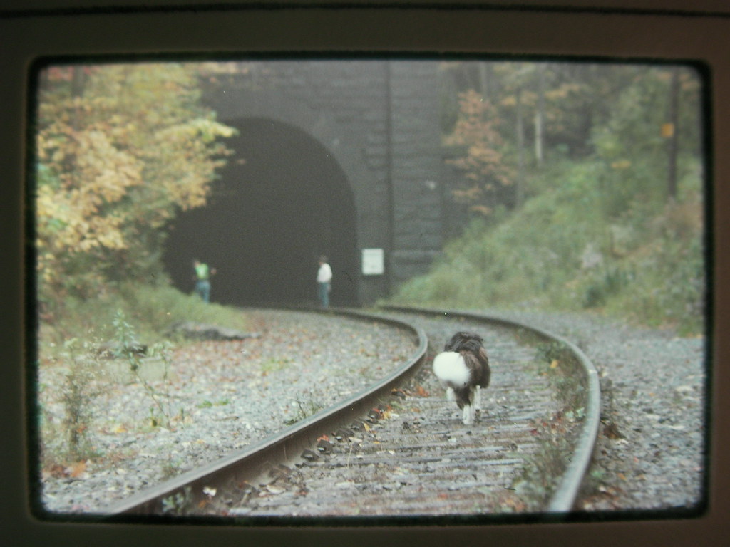 Hoosac Tunnel 1989 The Hoosac Tunnel in far Western Mass. … Flickr