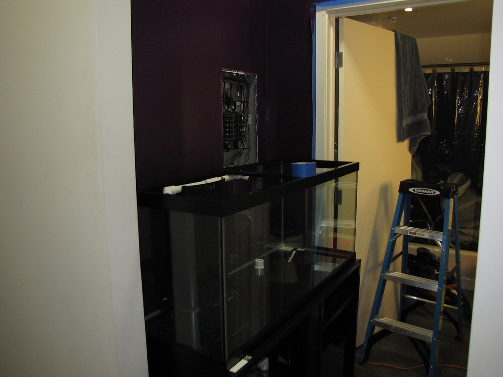 75 Gallon Saltwater Tank Build Flickr