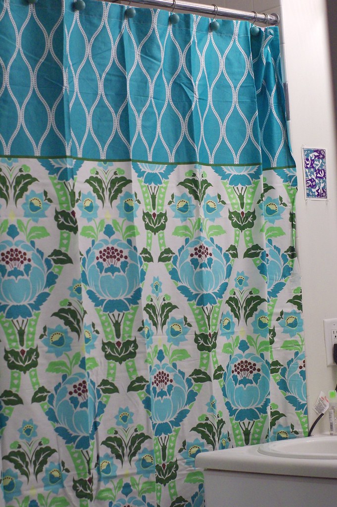 amy butler shower curtain from amazon! wck Flickr