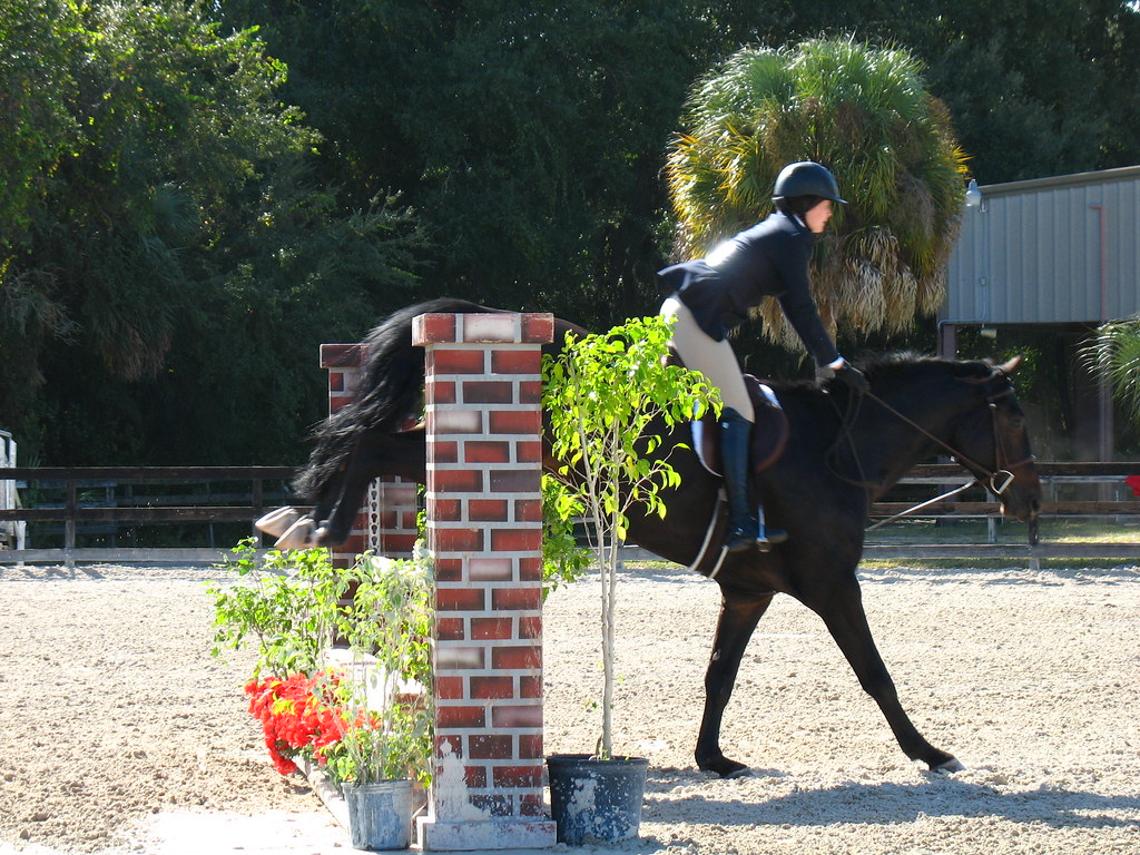 Fox Lea Farm Horse Show, Venice, Florida 11.6.2011 a photo on Flickriver
