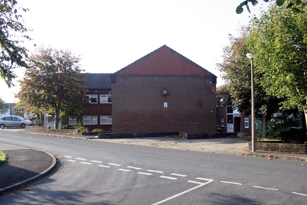 Skelmersdale. Birkrig. boneytongue Flickr