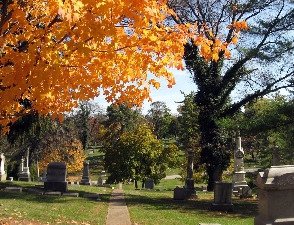 Autumn in Walnut Hills Cemetery Walnut Hills Cemetery is o… Flickr