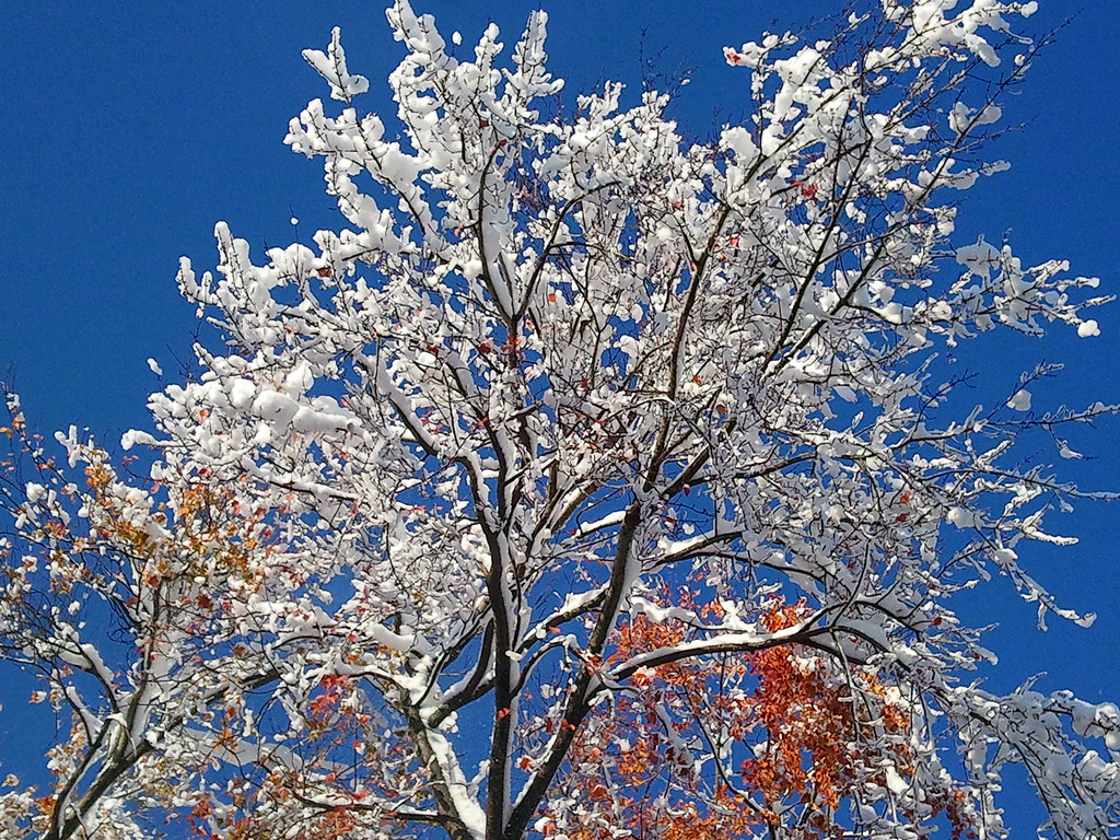 Winter in October ctgiant860 Flickr