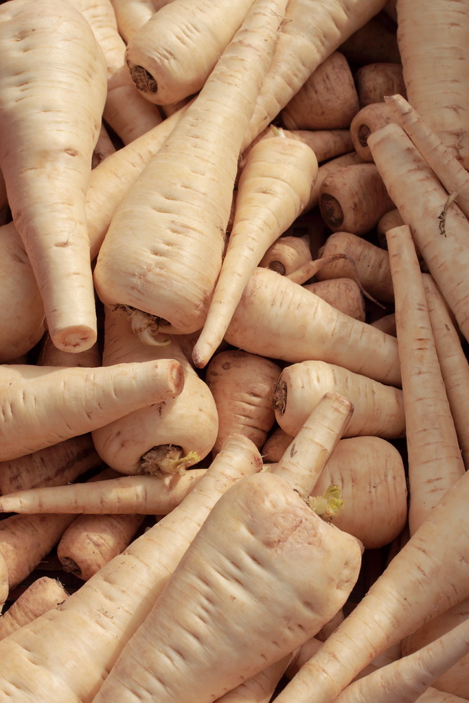 Parsnip The parsnip (Pastinaca sativa) is a root vegetable… Flickr