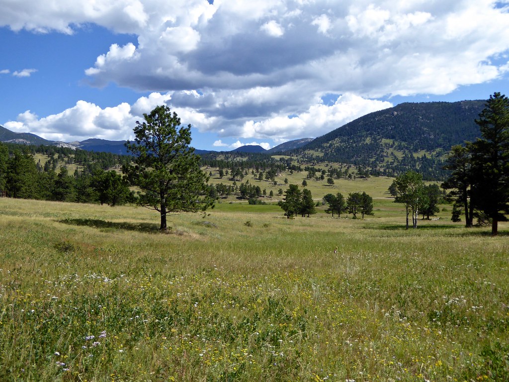Colorado 2015 RMNP Beaver Meadows Hike and Boulder Stephen Powell