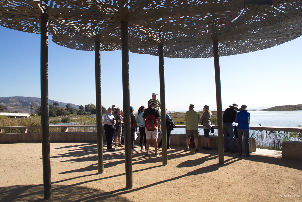 Friends of Geography, UCLA, at Malibu Lagoon CA IMG_2453 Flickr